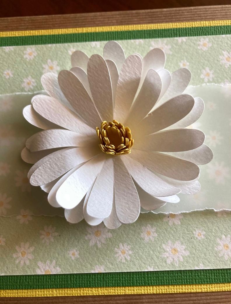 Cofanetto Personalizzato in Cartoncino | Idea Regalo per New Born, Matrimonio, Comunione, Cresima e Battesimo